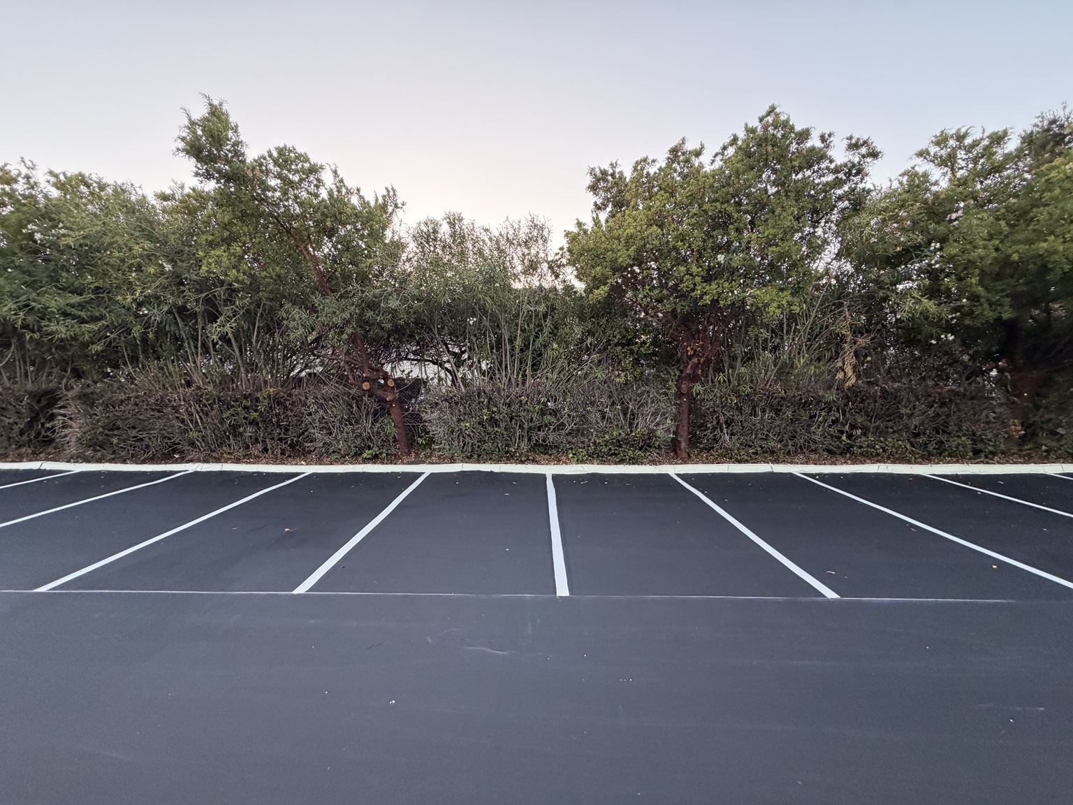 Crisp white parking stall lines restriped along a landscaped edge