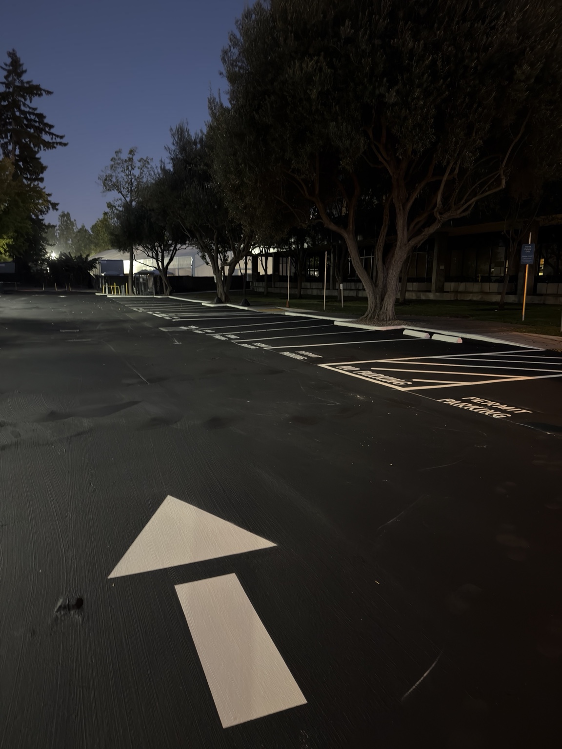 Drive lane with directional arrow and permit parking stalls at night