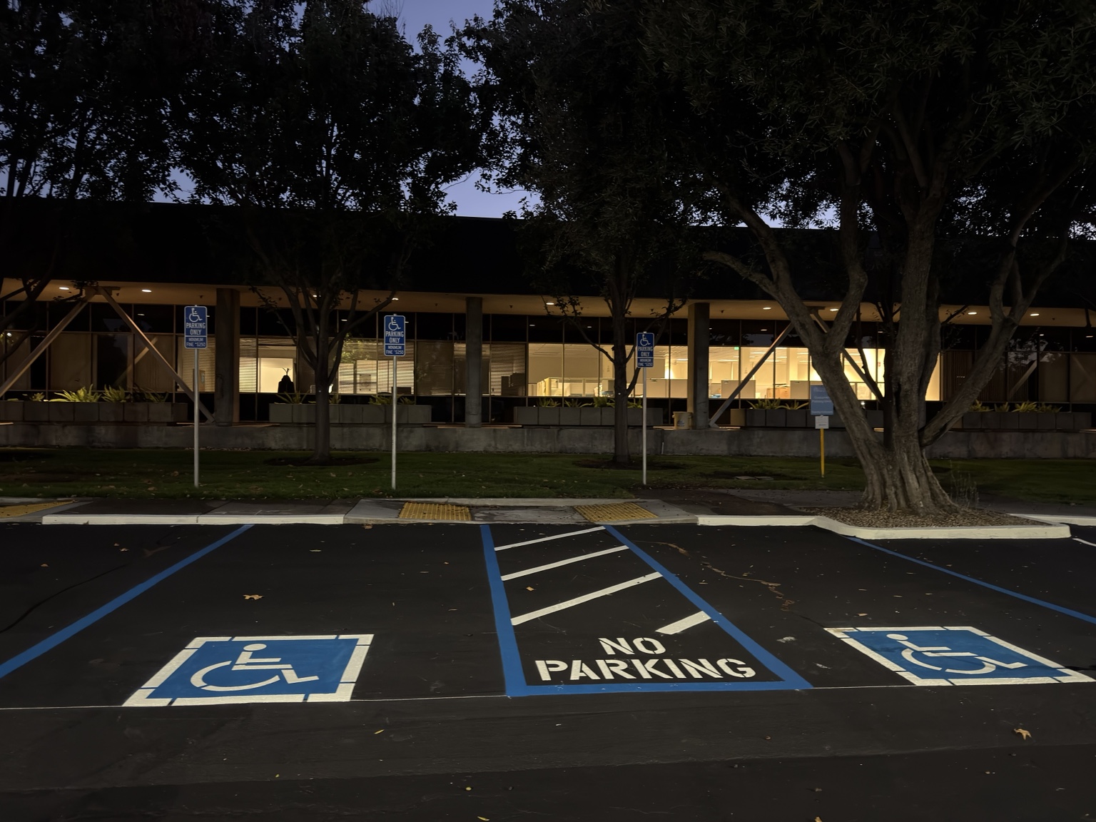 Blue accessible parking stalls with white symbols and a striped access aisle at night